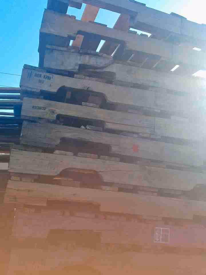 North Las Vegas, Nevada - Grade B Standard Wood Pallets