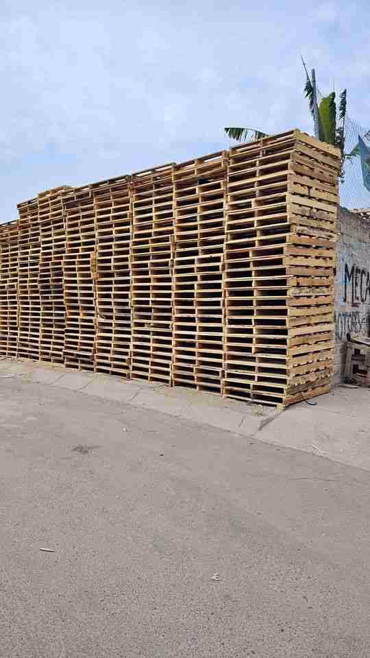 Memphis, Tennessee - Grade A Premium 48x40 Wood Pallets