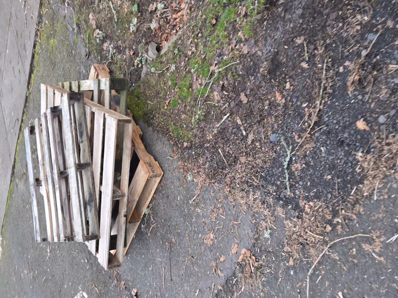 Elk Grove, California - Grade B Standard Wood Pallets