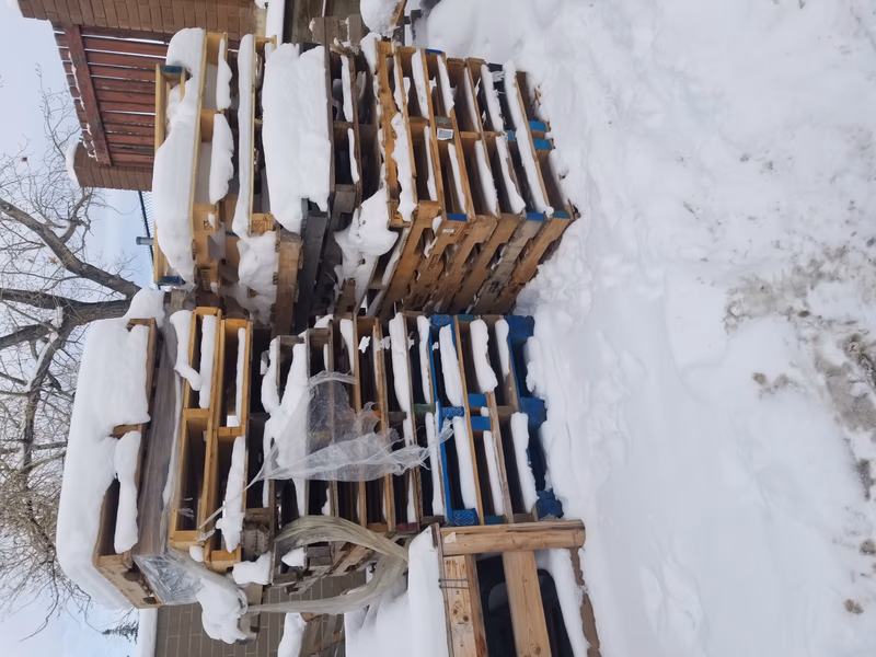 Visalia, California - Grade A Premium 48x40 Wood Pallets